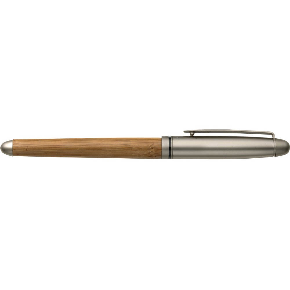 V1300-17_IBR01
